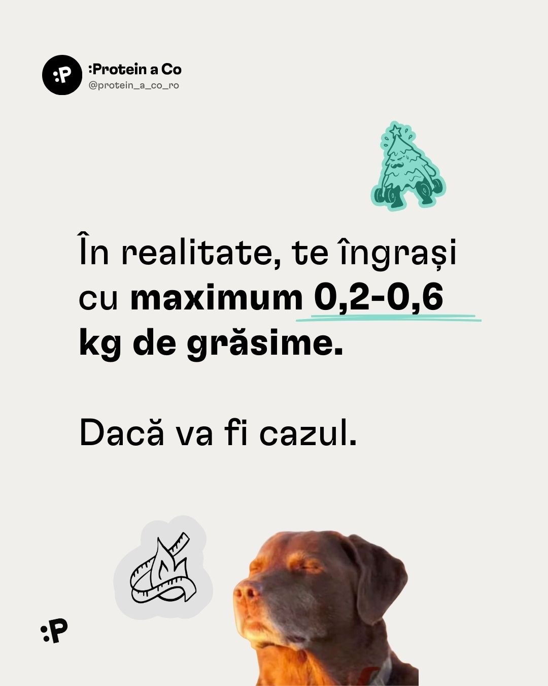 Vanoce-a-pribirani-1-RO-clanek-proteinaco